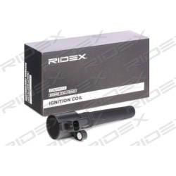ritė, uždegimas
                                RIDEX                                                689C0064, Nenurodytas 