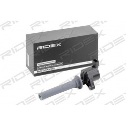 ritė, uždegimas
                                RIDEX                                                689C0336, Nenurodytas 