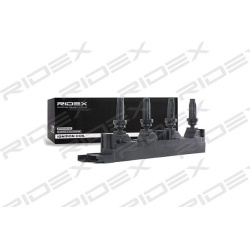ritė, uždegimas
                                RIDEX                                                689C0256, Nenurodytas 