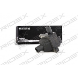 ritė, uždegimas
                                RIDEX                                                689C0077, Nenurodytas 