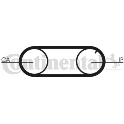 paskirstymo diržas
                                CONTINENTAL CTAM                                                CT641, CO