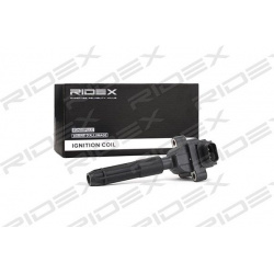 ritė, uždegimas
                                RIDEX                                                689C0227, Nenurodytas 
