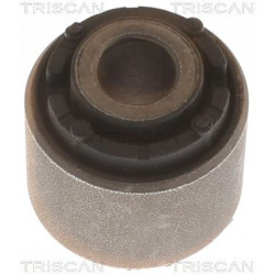 sailentblokas
                                TRISCAN                                                8500 43863, Nenurodytas 