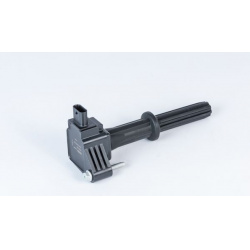 ritė, uždegimas
                                BorgWarner (BERU)                                                ZSE235, Bo