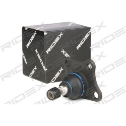 Šarnyras
                                RIDEX                                                2462S0384, Nenurodytas gaminto