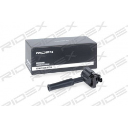 ritė, uždegimas
                                RIDEX                                                689C0288, Nenurodytas 