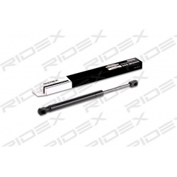 dujinė spyruoklė, bagažinė
                                RIDEX                                                219G0203,