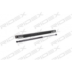 dujinė spyruoklė, bagažinė
                                RIDEX                                                219G0017,