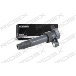 ritė, uždegimas
                                RIDEX                                                689C0193, Nenurodytas 