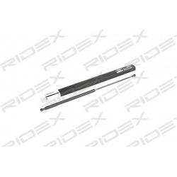 dujinė spyruoklė, bagažinė
                                RIDEX                                                219G0169,