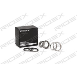 rato guolis
RIDEX 654W0471, Nenurodytas gamint