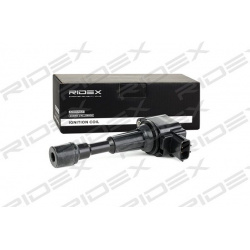 ritė, uždegimas
                                RIDEX                                                689C0105, Nenurodytas 