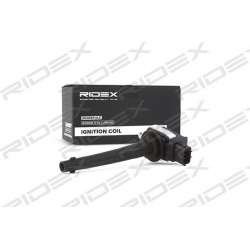ritė, uždegimas
                                RIDEX                                                689C0106, Nenurodytas 