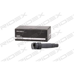 ritė, uždegimas
                                RIDEX                                                689C0298, Nenurodytas 