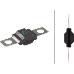 saugiklis
                                HELLA                                                8JS 742 901-001, Nenurodytas g