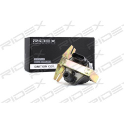 ritė, uždegimas
                                RIDEX                                                689C0202, Nenurodytas 