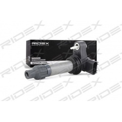 ritė, uždegimas
                                RIDEX                                                689C0216, Nenurodytas 