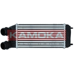 tarpinis suslėgto oro aušintuvas, kompresorius
                                KAMOKA                                      