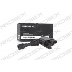 ritė, uždegimas
                                RIDEX                                                689C0097, Nenurodytas 
