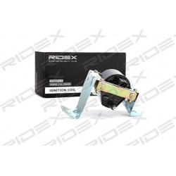 ritė, uždegimas
                                RIDEX                                                689C0263, Nenurodytas 
