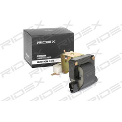 ritė, uždegimas
                                RIDEX                                                689C0142, Nenurodytas 