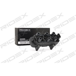 ritė, uždegimas
                                RIDEX                                                689C0267, Nenurodytas 
