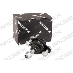 Šarnyras
                                RIDEX                                                2462S0164, Nenurodytas gaminto