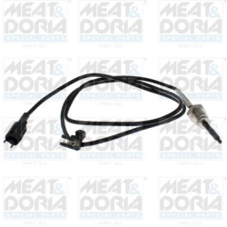 jutiklis, išmetamųjų dujų temperatūra
                                MEAT &amp; DORIA                                  