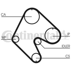 paskirstymo diržas
                                CONTINENTAL CTAM                                                CT529, CO
