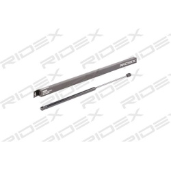 RIDEX                                                219G0867, Nenurodytas gamintojas, 219G0867, auto detalė