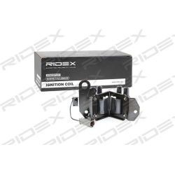 ritė, uždegimas
                                RIDEX                                                689C0218, Nenurodytas 