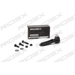 Šarnyras
                                RIDEX                                                2462S0239, Nenurodytas gaminto