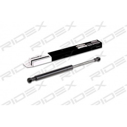 dujinė spyruoklė, bagažinė
                                RIDEX                                                219G0255,