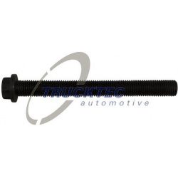 Cilindro galvutės varžtas
                                TRUCKTEC AUTOMOTIVE                                              