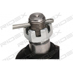 Šarnyras
                                RIDEX                                2462S0200, Nenurodytas gamintojas, 2462S0200, 