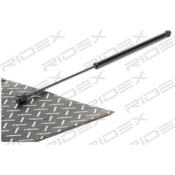 dujinė spyruoklė, gaubtas
                                RIDEX                                                514G0144, Ne
