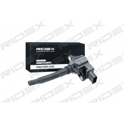 ritė, uždegimas
                                RIDEX                                                689C0178, Nenurodytas 