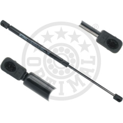 dujinė spyruoklė, bagažinė
                                OPTIMAL                                                AG-5171
