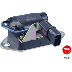 ritė, uždegimas
                                NGK                                                48113, NGK, 48113, auto 