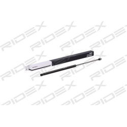 dujinė spyruoklė, bagažinė
                                RIDEX                                                219G0828,