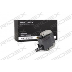 ritė, uždegimas
                                RIDEX                                                689C0117, Nenurodytas 