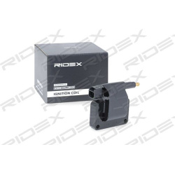 ritė, uždegimas
                                RIDEX                                                689C0180, Nenurodytas 