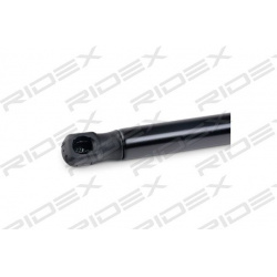 dujinė spyruoklė, bagažinė
                                RIDEX                                219G0590, Nenurodytas gam