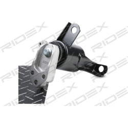 Variklio montavimas
RIDEX 247E0438, Nenurodyta