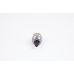 solenoidas
                                BOSCH                                                F002D13642, BOSCH, F002D13642