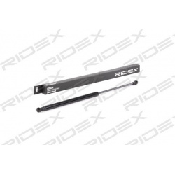 dujinė spyruoklė, gaubtas
                                RIDEX                                                514G0093, Ne