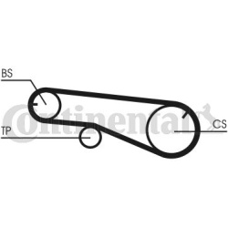 paskirstymo diržas
                                CONTITECH                                                CT991, CONTITECH