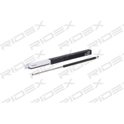 dujinė spyruoklė, bagažinė
                                RIDEX                                                219G0274,