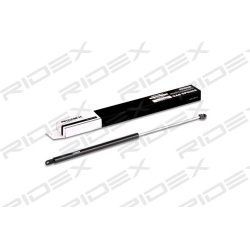 dujinė spyruoklė, bagažinė
                                RIDEX                                219G0238, Nenurodytas gam