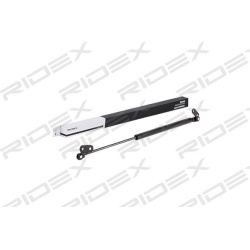 dujinė spyruoklė, bagažinė
                                RIDEX                                                219G0431,